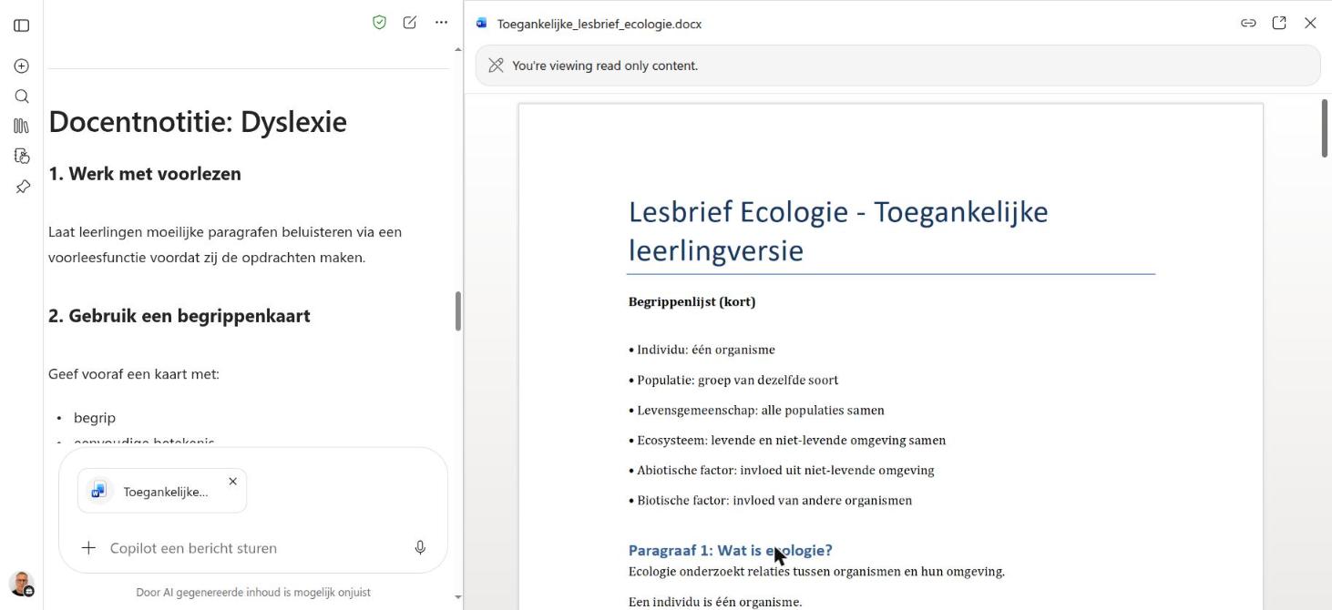 De leerlingversie als Word-bestand, geopend naast de chat